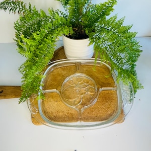 May include: A clear glass divided serving dish with a central floral design, set on a wooden cutting board. The dish is surrounded by green fern plants in a white pot, creating a natural, rustic aesthetic.