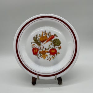 Vintage Acropal Dinner Plates Decorated With Vegetables for Fall Dinner Vintage Dinner Plates Set Fall Plate Harvest Theme