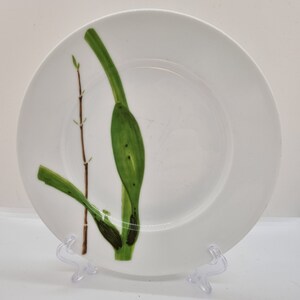 Raynaud & Co Limoges Verdures Plate No 4 Christian Tortu (51