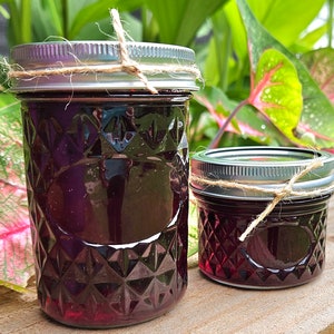 Blueberry Jelly