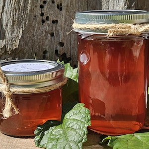 Muscadine Jelly: Native Sweet and Tart Fruit