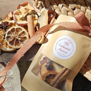 May include: A tan paper pouch labeled The Enchanted Harvest Simmer Pot by Nellies Jellies, tied with a copper glitter ribbon. The pouch contains dried orange slices, cinnamon sticks, and star anise, with similar ingredients scattered nearby.