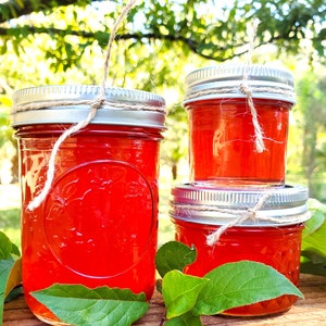 Chickasaw Plum Jelly