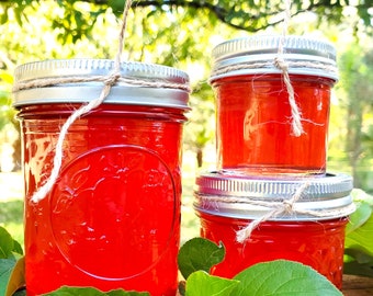 Sand Plum Jelly – Wild & Native Louisiana Plum