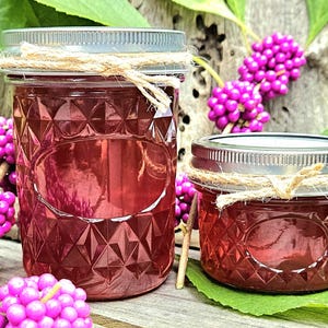 American Beautyberry Jelly – Louisiana Wild Native Berry Jelly, Small Batch Artisan