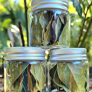 Bay Leaf