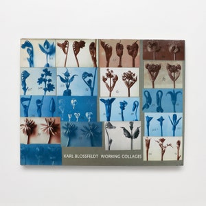 Karl Blossfeldt, Working Collages - Vintage Coffee Table Book, MCM