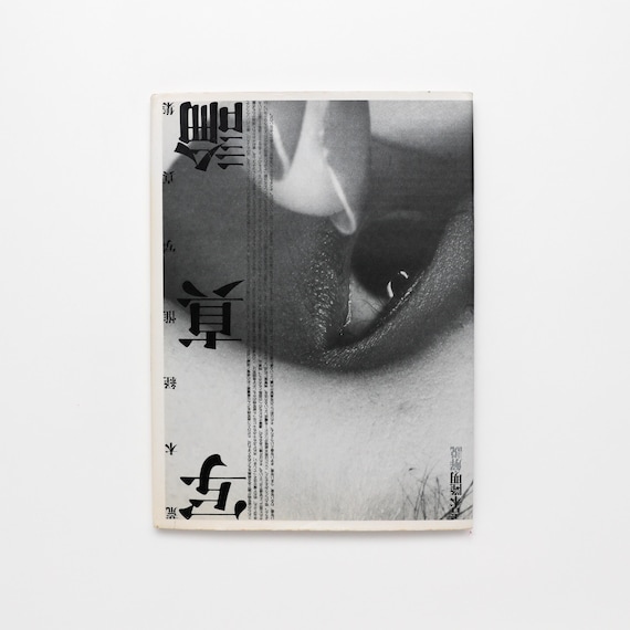 Photo Theory, Nobuyoshi Araki - Vintage Coffee Table Book, MCM