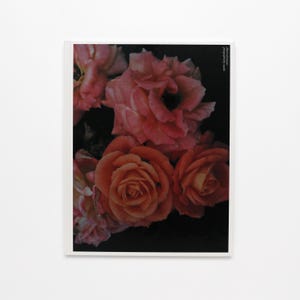Blumen der Romantik, Motoko - Vintage Coffee Table Book, MCM Decor, Wohnung Deko, Tischdekoration, Kunstbuch, Fotografie Buch