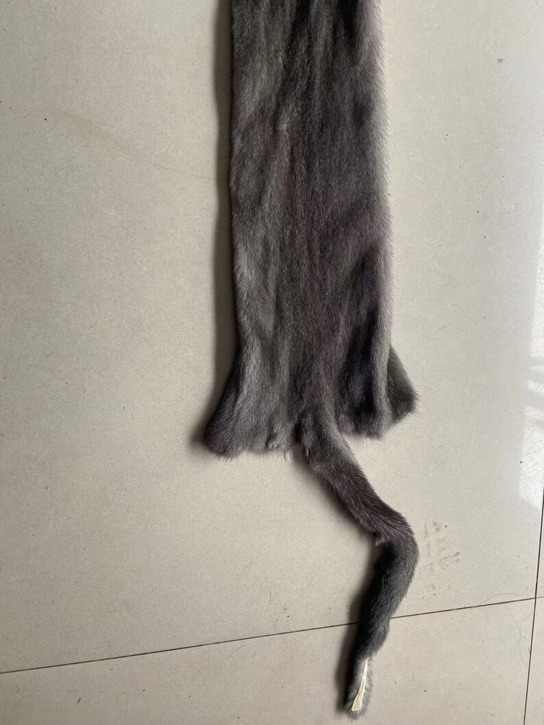 Mink Skins Gray Male Pelts Short & Dense Fur Allnatural Etsy
