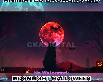 Animated Halloween Vtuber Background: Black Cat, Full Moon (MP4 Digital Download)