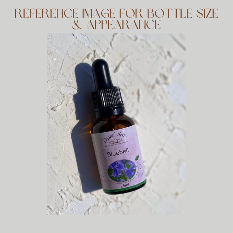 Bluebell Flower Essence Etsy