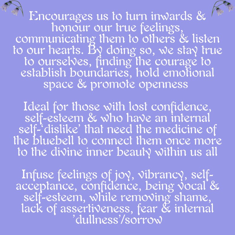 Bluebell Flower Essence Etsy