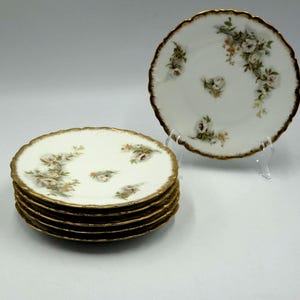 Pode incluir: Um conjunto de seis pratos de porcelana branca com borda dourada ondulada. Cada prato apresenta um desenho floral com flores brancas e pêssego. Um prato é exibido em um suporte transparente.