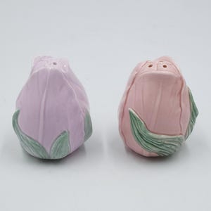Vintage Franciscan Desert Rose Fine China Salt & Pepper Shakers.  1985,  England.  Hand Painted Discontinued