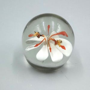 Bee & White Flower Blown Glass Paperweight 1980s Teignmouth Devon England.