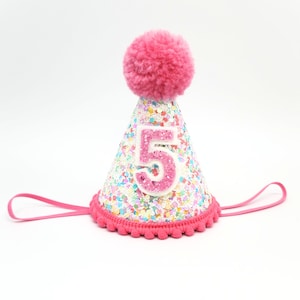 5th Birthday Hat/ Pink Sugar Sprinkles/ Sugar Confetti Party Hat/ Glitter Sprinkle Hat/Personalized Birthday Hat/ Custom Birthday Hat/ Rosy
