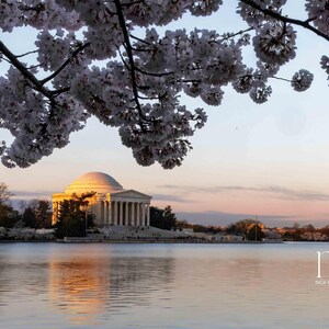 Cherry Blossoms Washington DC  Jefferson Memorial Tidal Basin Photography Travel Fine Art Print Wall Art Interior Design Souvenir Photo