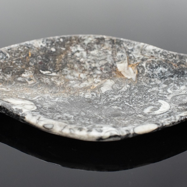 Unique Fossil Soap Dish | Natural Fossilized Orthoceras | Crystal Charging Tray |Made in Morocco | Home Gift | Palo Santo holder