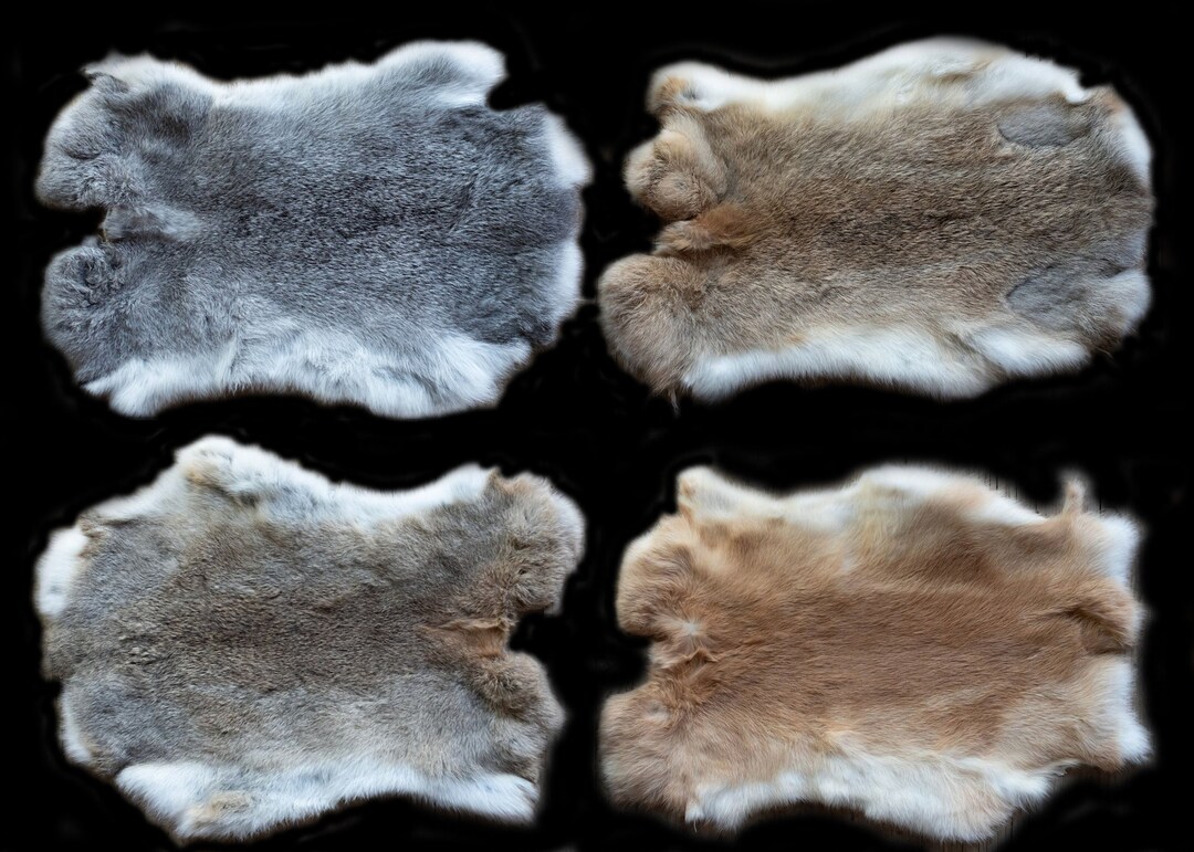 Beautiful Rabbit Pelts Home Decor Mountain Home Real Rabbit Furs
