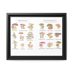 Pilzkarte: Essbare und giftige Pilzarten, Pilz Illustration, Pilz Illustration, Kunstdruck