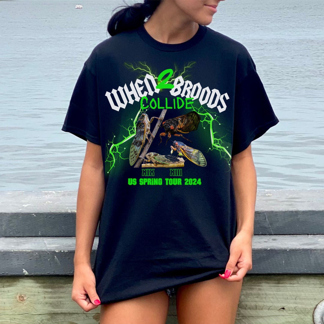 Cicada Broods Collide 2025 Unisex Heavy Cotton Tee, Funny Cicada Lover
