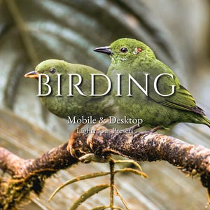 以下が含まれることがあります： 茶色の枝に止まっている2羽の緑色の鳥。大きな白い文字で「BIRDING」と書かれています。鳥の下には「Mobile & Desktop Lightroom Presets」と書かれています。鳥は黄色いくちばしと黒い目をしています。