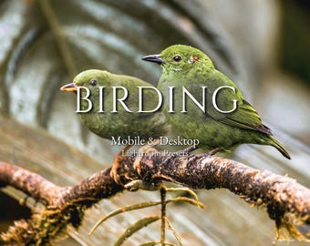 Pacote de presets do Lightroom para observação de pássaros e fotografia ao ar livre | 15 filtros para fotos de natureza e vida selvagem | Predefinições do Lightroom para dispositivos móveis e desktop