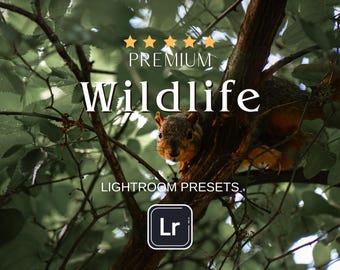 15 predefinições do Lightroom para vida selvagem, dispositivos móveis e desktop, filtros para natureza e áreas externas, predefinições naturais terrosas.