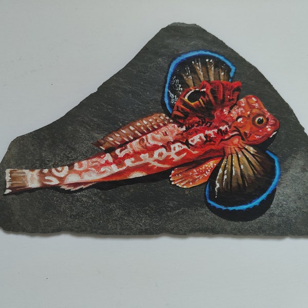 Red Gurnard painting on Cornish Slate