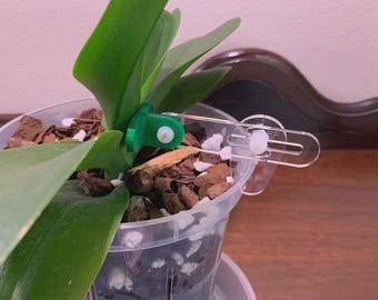 Phal Pal™ Orchid Support for Slotted Pots – Adjustable Plant Brace, Repotting Aid, Orchid Stake Alternative, Plant Support
