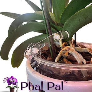 Phal Pal™ – Orchid Support for 5.6&quot; Resin Pot (1qt Size), Plant Support, Adjustable Orchid Brace, Repotting Aid, Orchid Stake Alternative