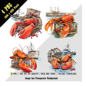 May include: Four watercolour illustrations of cooked lobsters with lobster traps and fishing boats. The lobsters are bright red with large claws. The image includes the text "4 PNG 4000 x 4000 Pixels" and "Image has Transparent Background."