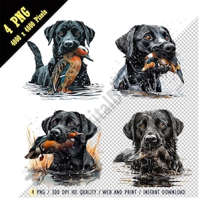Labrador Hund Entenjagd Schwarzer Labrador Hund PNG, Jagdhund Jäger Im Freien, Mandarin Ente, Sublimation, Sofortiger Download, DIY Kunsthandwerk & Designs