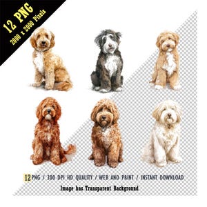 Goldendoodle Clipart, Süßer Hund Clipart, Golden Doodle PNG, Welpen Bilder, Süßer Hund Clipart, Aquarell, Haustier Porträt Ästhetik, Sublimation