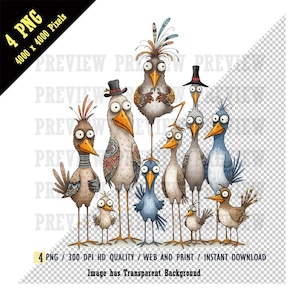 Pássaros engraçados e caprichosos, clipart de pássaros engraçados e caprichosos, aquarela PNG, pássaros engraçados coloridos, designs de sublimação, downloads digitais, projetos DIY
