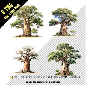 High-Quality Madagascar Baobab Tree Clipart, Africa Baobab tree digital watercolor PNG, Adansonia, instant download, T-Shirts - DIY Projects
