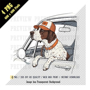 Pointer alemão de pelo curto PNG, Camiseta para cachorro de caça com sublimação, Pointer alemão de pelo curto aquarela, Cachorro no carro com boné, Clássico retrô vintage