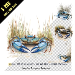 Acuarela de un cangrejo azul vibrante con pinzas azules llamativas y caparazón verde oliva PNG, sobre un estuario costero, aguas poco profundas, descarga instantánea