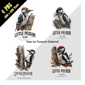 Disegno divertente per maglietta da uomo con acquerello Little Pecker Club 4 PNG, umorismo volgare per donna, stile grunge, picchio, uccello PNG, sublimazione