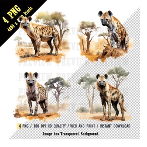 Watercolor Clipart Hyena Animals, Acacia Trees Hyena PNG, Wild Dog Clipart,Hyena Clipart Bundle,High quality pngs,Sublimation,Clipart Bundle