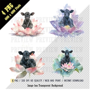 Baby Black Angus-kalf zit in een gigantische lotusbloem, zachte glitters, Black Angus Cow-aquarel, meditatieve stemming, direct downloaden, png