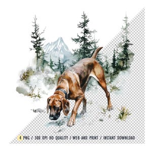 Ein Bayerischer Berghund auf der Spur im nebligen Bergwald, die Nase am Boden, muskulöser Rahmen angespannt, Aquarell, PNG, Clipart