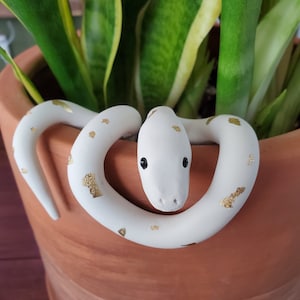Snake plant pal accessory