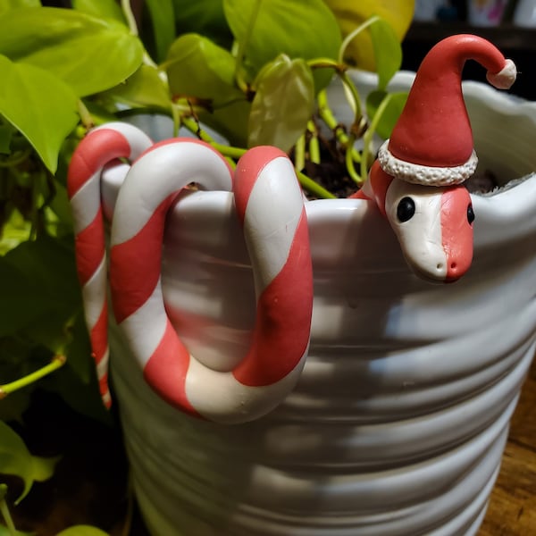 Candy cane snake plant pal accessory