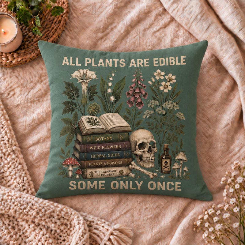 Edible Book Nook - Etsy