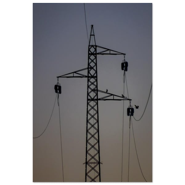 Sunset Birds Pylon Photography Art Print