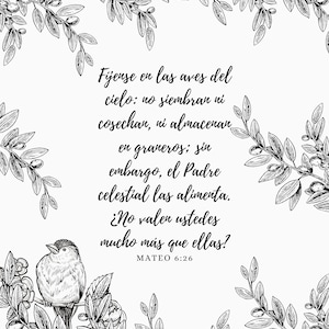Adult Bible Verse Coloring Pages- Pack 1- Spanish