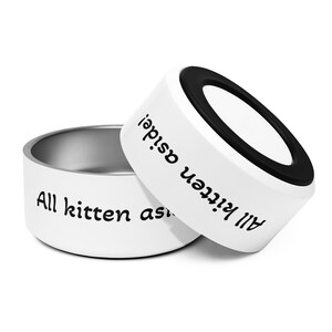 All Kitten Aside! Cat food and water bowl