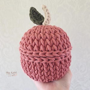 May include: A round, crocheted container in a dusty rose color, shaped like an apple. It features a textured, braided stitch pattern throughout the body and lid. On top, there is a small, dark olive green leaf and a light beige stem.